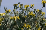 20260507 170536 Apulien Leuca Santa Maria Di