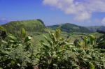 20160810 125621 Azoren Sete Cidades