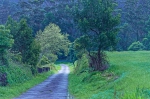 20220419 120840 Azoren Unterwegs Landschaften Auf Sao Miguel