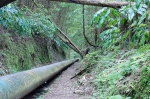 20220419 121916 Azoren Unterwegs Landschaften Auf Sao Miguel