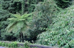 20220419 131140 Azoren Unterwegs Landschaften Auf Sao Miguel