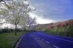 20220420 185837 Azoren Unterwegs Landschaften Auf Sao Miguel