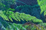 20220421 141702 Azoren Unterwegs Landschaften Auf Sao Miguel