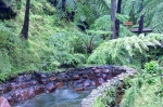 20220421 154027 Azoren Unterwegs Landschaften Auf Sao Miguel