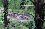 20220421 154950 Azoren Unterwegs Landschaften Auf Sao Miguel