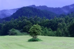 20220423 164825 Azoren Unterwegs Landschaften Auf Sao Miguel