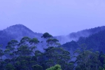 20220423 165056 Azoren Unterwegs Landschaften Auf Sao Miguel