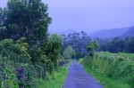 20220423 171932 Azoren Unterwegs Landschaften Auf Sao Miguel