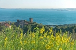 20050525 181929 Bolsena