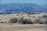 20260220 164413 Gran Canaria Duenen Von Maspalomas