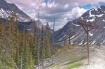 20070617 143912 Kanada Rocky Mountains