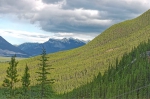 20070618 174817 Kanada Rocky Mountains