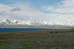 20060615 123350 Kirgistan Sonkoel Son Kul
