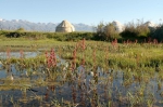 20060619 032327 Kirgistan Toruaygyr