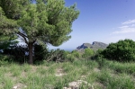 20231018 114313 Mallorca Arta Ermita De Bel N