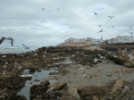 20141127 100706 Marokko Essaouira