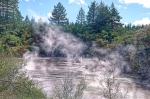 20101127 092539 Neuseeland Rotorua Reporoa Best Of Hoehepunkte Der Reise
