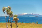 20101127 114943 Neuseeland Taupo Wharewaka Best Of Hoehepunkte Der Reise