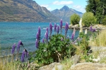 20101207 110031 Neuseeland Queenstown On The Road Landschaften Am Weg
