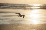 20150723 204811 Norderney Fotogalerie Reise De