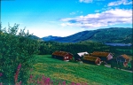 Norwegen 1995 092