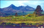 Schottland 1996 037 Isle Of Skye Cuillin Hills