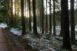 20241229 152246 Thueringerwald 02 Dp Oberhof