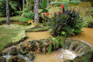 Furnas
