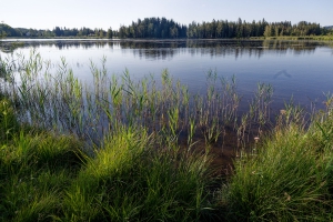 Bad Bayersoien